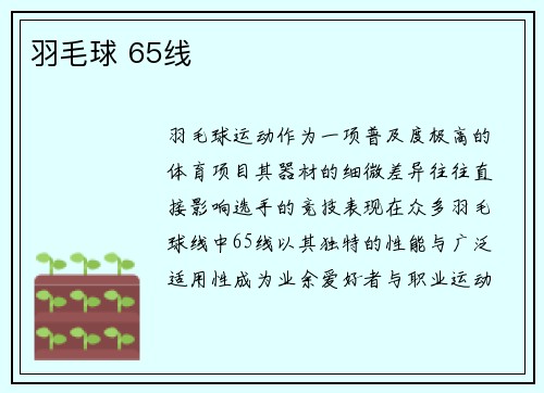 羽毛球 65线