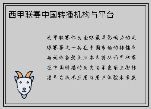 西甲联赛中国转播机构与平台