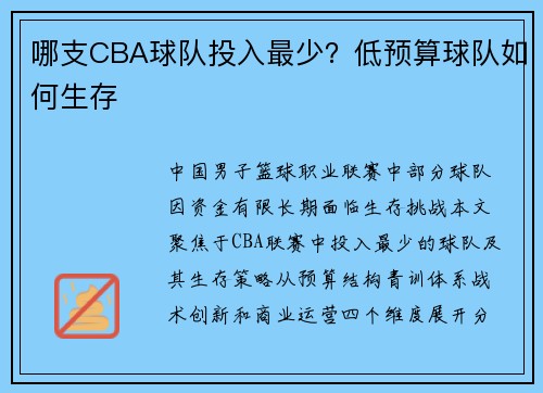 哪支CBA球队投入最少？低预算球队如何生存