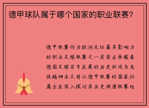 德甲球队属于哪个国家的职业联赛？