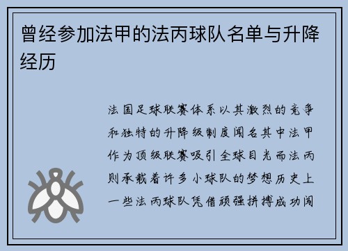 曾经参加法甲的法丙球队名单与升降经历